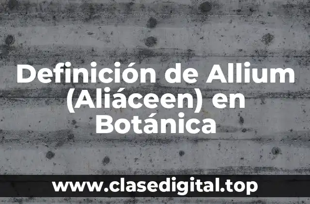 Definición de Allium (Aliáceen) en Botánica