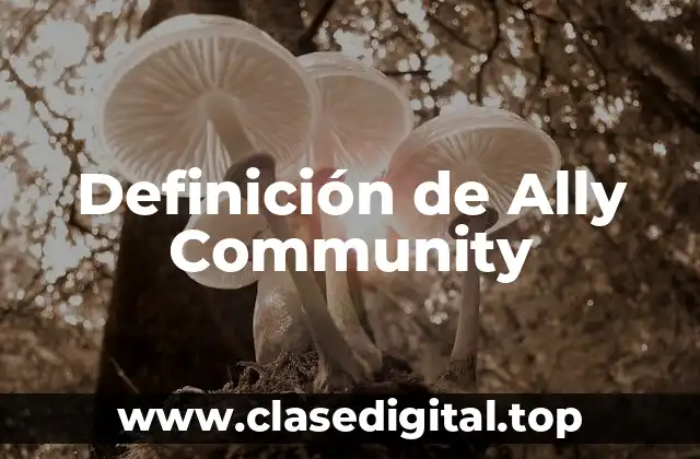 Definición de Ally Community