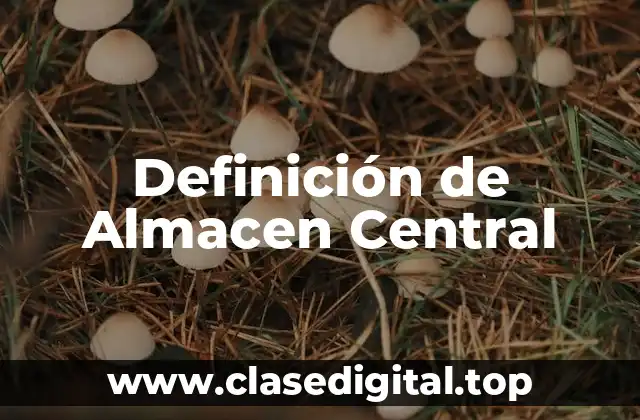 Ejemplos de Almacen Central