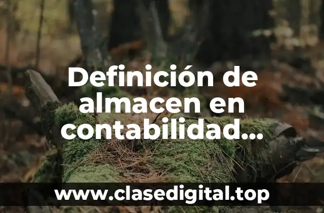 Definición de almacen en contabilidad clasificación