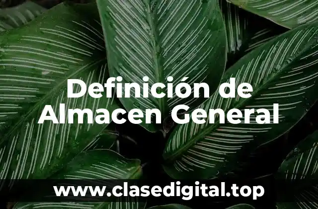 Definición de Almacen General