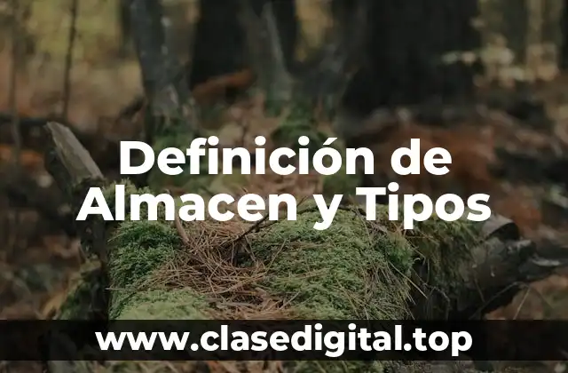 Definición de Almacen y Tipos