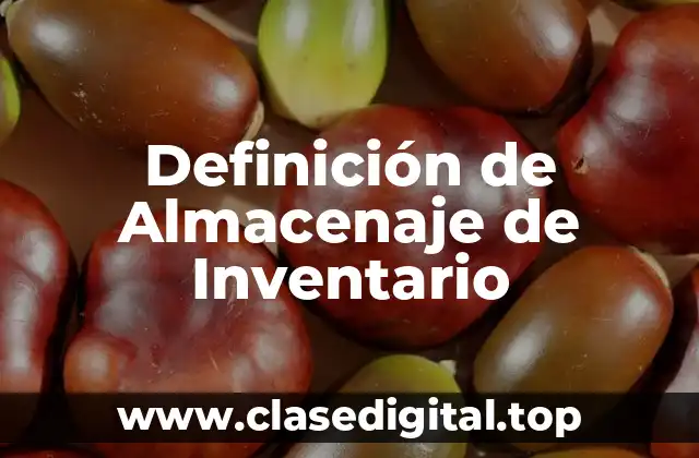 Definición de Almacenaje de Inventario