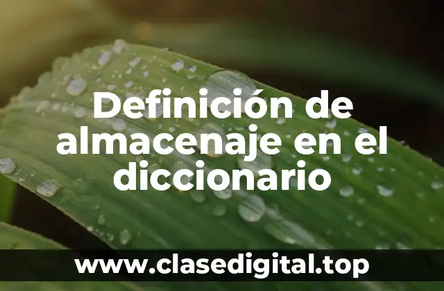 Definición de almacenaje en el diccionario