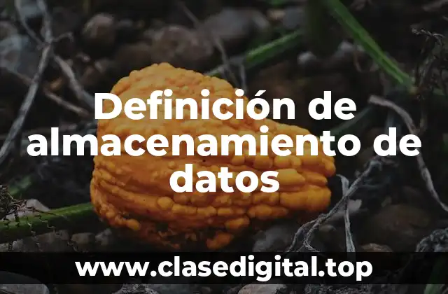 Definición técnica de almacenamiento de datos