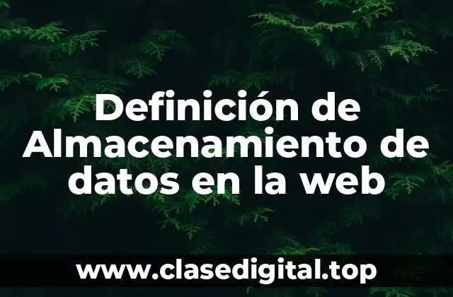 Definición de Almacenamiento de datos en la web