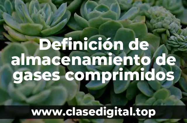 Definición de almacenamiento de gases comprimidos