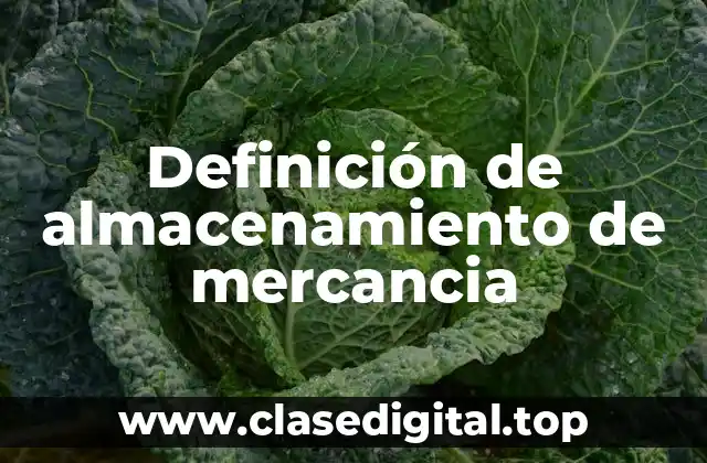 Definición de almacenamiento de mercancia