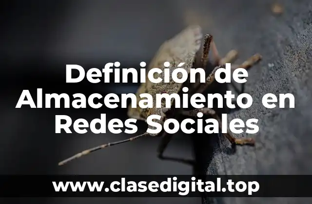 Definición de Almacenamiento en Redes Sociales