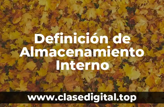 Definición técnica de Almacenamiento Interno