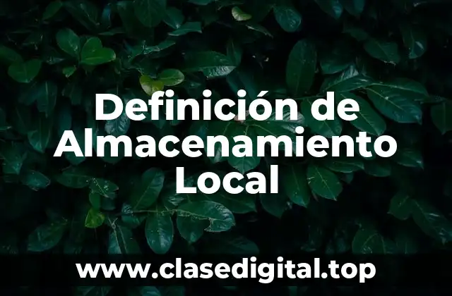 Definición Técnica de Almacenamiento Local