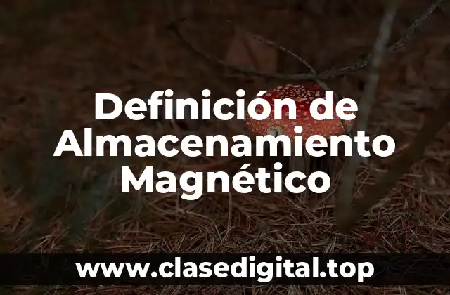 Definición de Almacenamiento Magnético