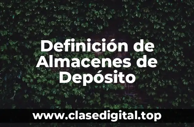 Ejemplos de Almacenes de Depósito