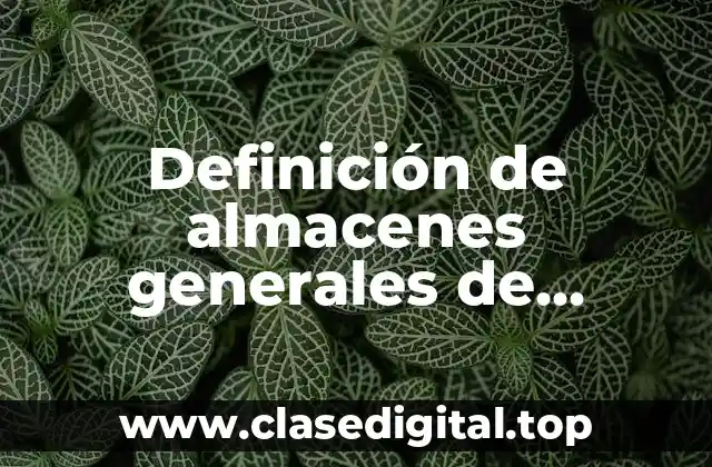 Definición de almacenes generales de deposito en Guatemala