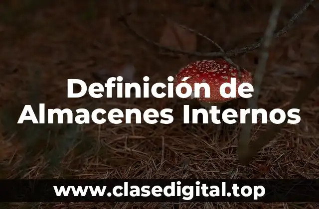 Definición de Almacenes Internos