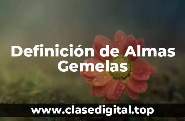 Definición de Almas Gemelas