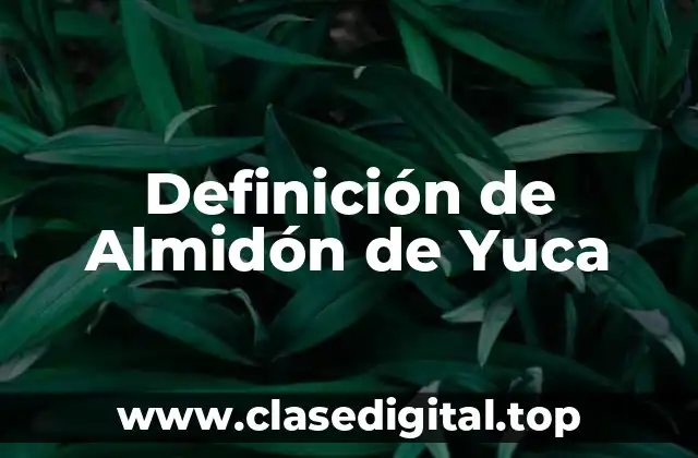 Definición de Almidón de Yuca