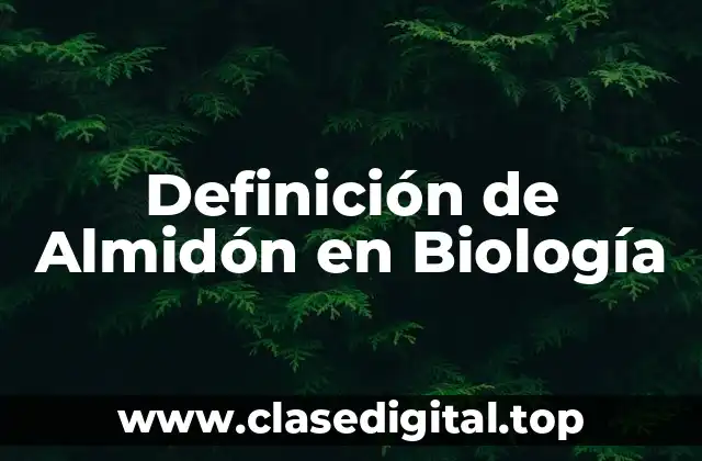 Definición de Almidón en Biología