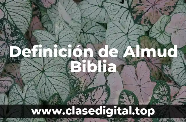Definición de Almud Biblia