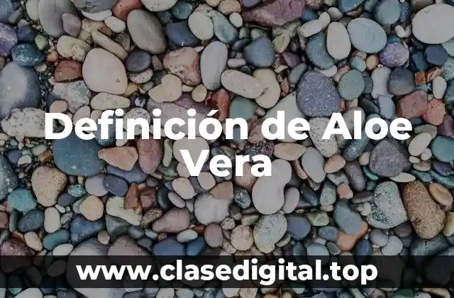Definición de Aloe Vera