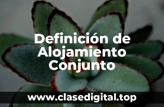 Definición de Alojamiento Conjunto