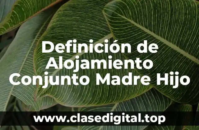 Definición técnica de Alojamiento Conjunto Madre Hijo