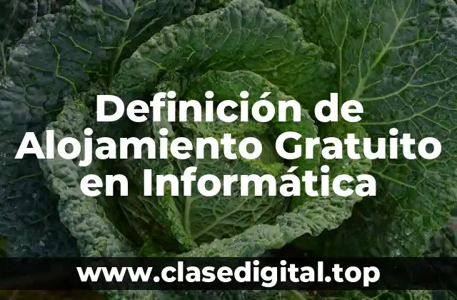 Definición de Alojamiento Gratuito en Informática