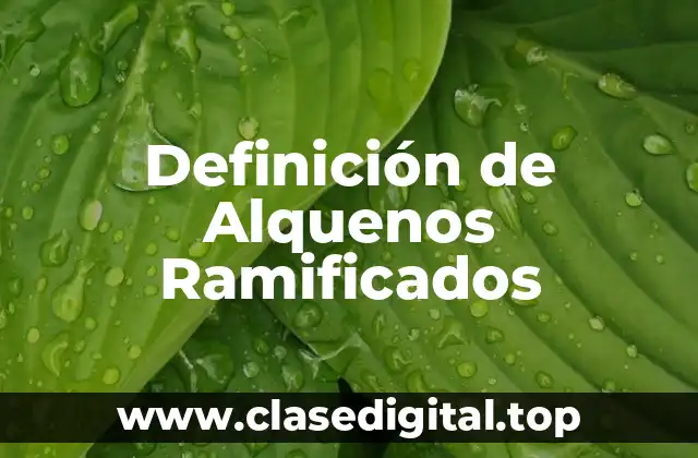 Definición Técnica de Alquenos Ramificados