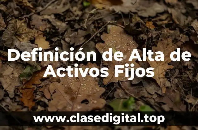 Definición técnica de Alta de Activos Fijos