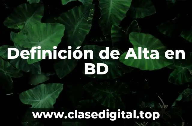 Definición de Alta en BD