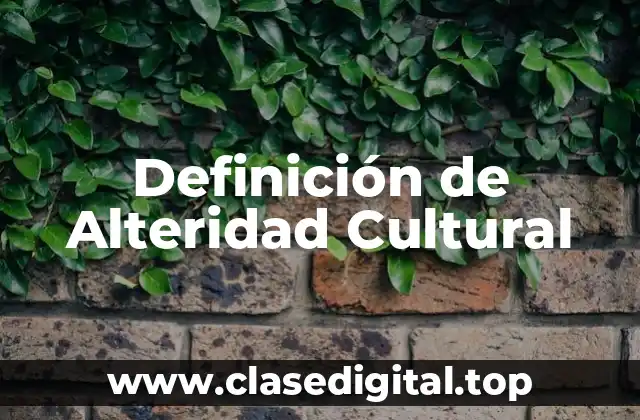 Definición técnica de Alteridad Cultural
