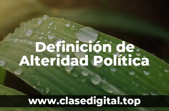 Definición de Alteridad Política