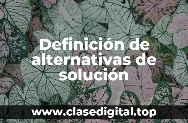 Definición técnica de alternativas de solución