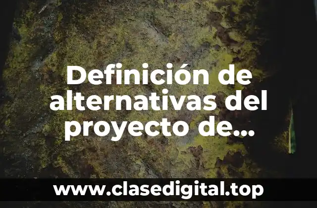 Definición de alternativas del proyecto de sustentabilidad
