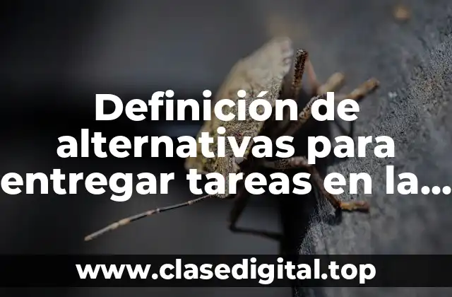 Definición de alternativas para entregar tareas en la escuela