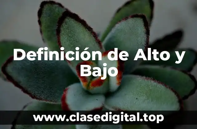 Definición técnica de Alto y Bajo