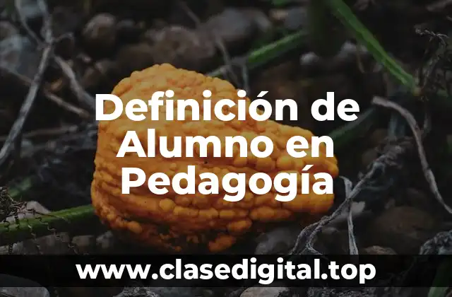 Definición de Alumno en Pedagogía