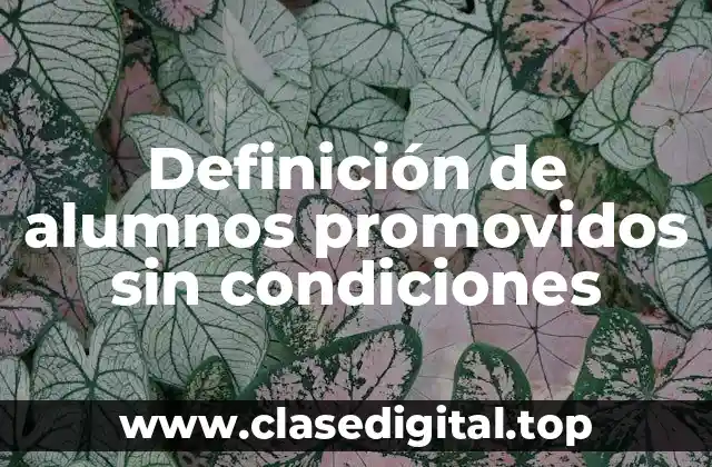 Definición de alumnos promovidos sin condiciones