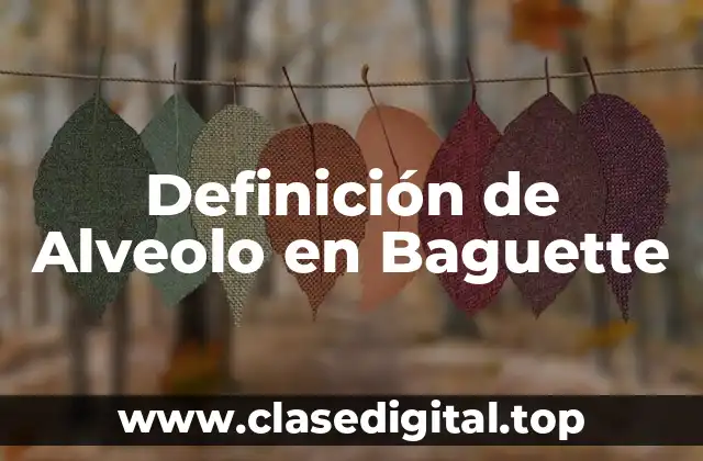 Definición de Alveolo en Baguette