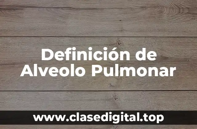Definición de Alveolo Pulmonar