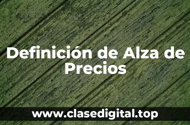 Definición de Alza de Precios