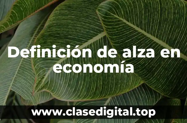 Definición técnica de alza en economía