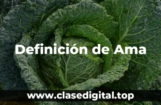 Definición de Ama