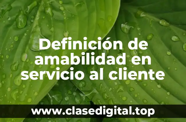 Definición de amabilidad en servicio al cliente