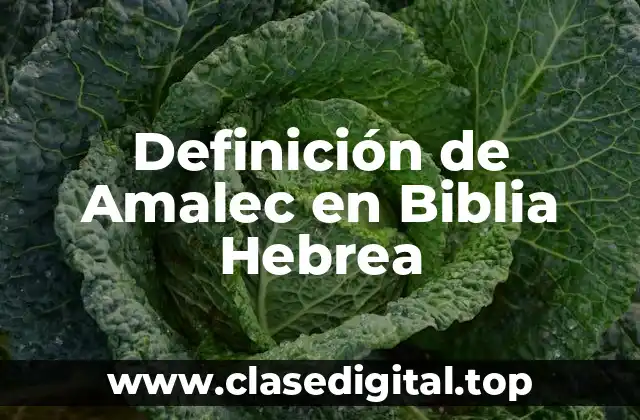 Definición de Amalec en Biblia Hebrea