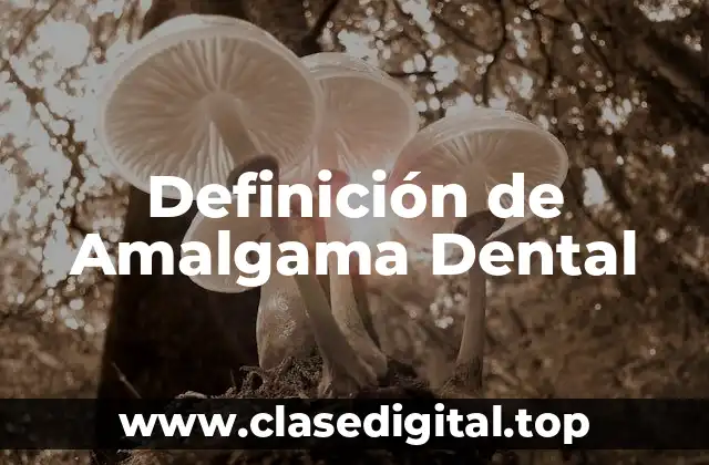 Definición de Amalgama Dental