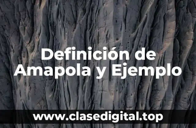 Definición de Amapola y Ejemplo