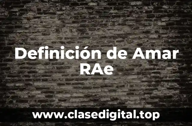 Definición de Amar RAe
