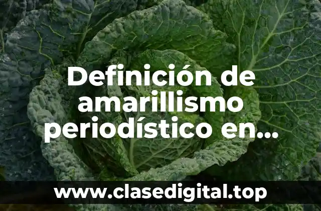 Definición de amarillismo periodístico en política