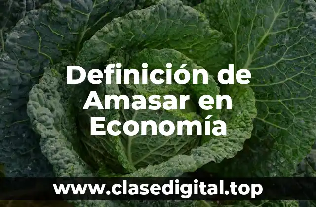 Definición de Amasar en Economía